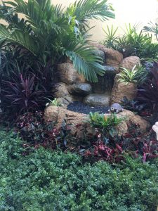 Tropical landscape design in Miami with water feature and palms